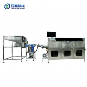 Cap inspection machine